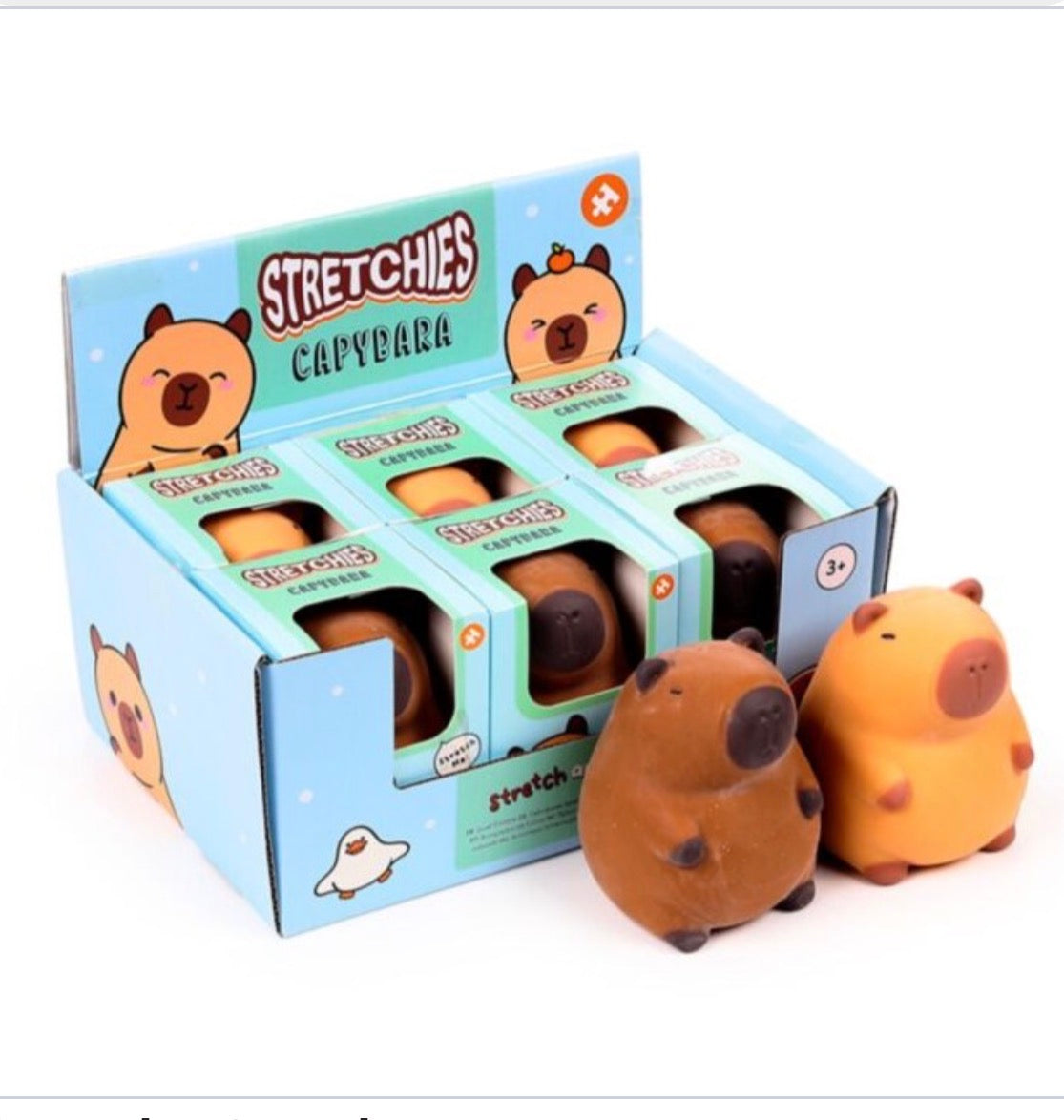 Stretches - Capybara