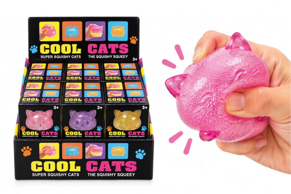 Cool Cat Inspired Squishy